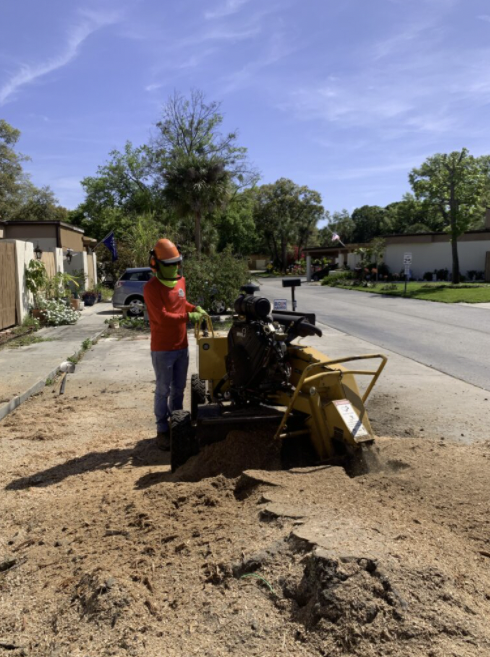 how much does it cost to grind a stump in florida?
