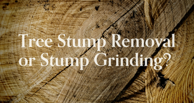 stump grinding vs stump removal.